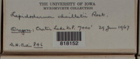 Image Associated With the Occurence